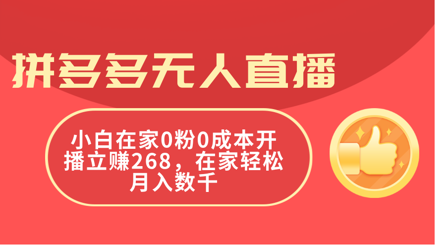 （11521期）拼多多无人直播，小白在家0粉0成本开播立赚268，在家轻松月入数千-云创未来