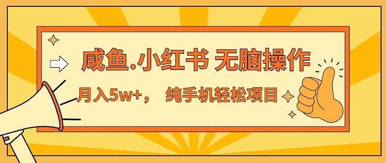 （11524期）2024最赚钱的项目，咸鱼，小红书无脑操作，每单利润500+，轻松月入5万+…-云创未来