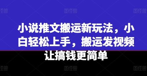 小说推文搬运新玩法，小白轻松上手，搬运发视频让搞钱更简单-云创未来
