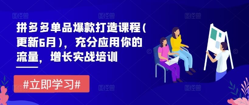 拼多多单品爆款打造课程(更新6月)，充分应用你的流量，增长实战培训-云创未来