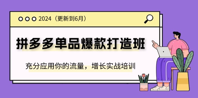 （11556期）2024拼多多-单品爆款打造班(更新6月)，充分应用你的流量，增长实战培训-云创未来