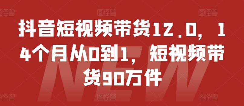 抖音短视频带货12.0，14个月从0到1，短视频带货90万件-云创未来
