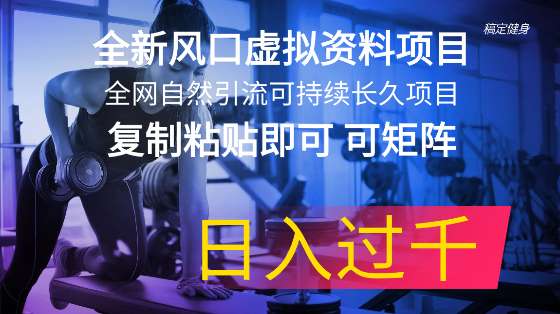 （11587期）全新风口虚拟资料项目 全网自然引流可持续长久项目 复制粘贴即可可矩阵…-云创未来
