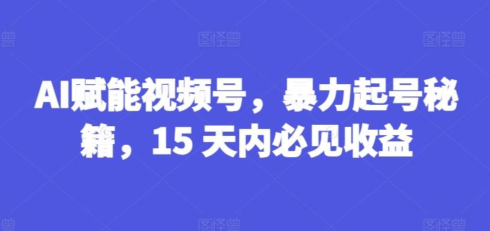 AI赋能视频号，暴力起号秘籍，15 天内必见收益【揭秘】-云创未来