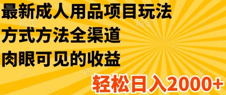最新成人用品项目玩法，方式方法全渠道，轻松日入2K+【揭秘】-云创未来