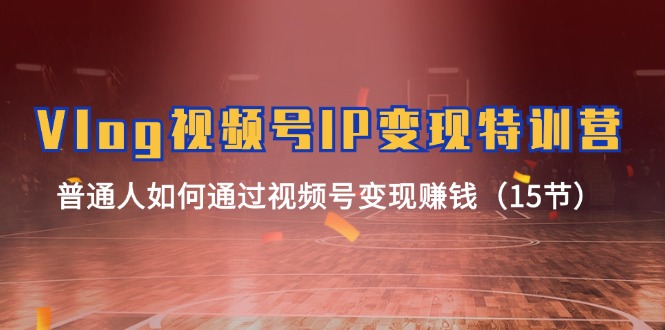 （11654期）Vlog 视频号IP变现特训营，普通人如何通过视频号变现赚钱（15节）-云创未来