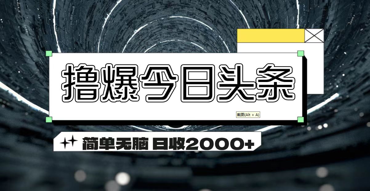 （11665期）撸爆今日头条 简单无脑操作 日收2000+-云创未来