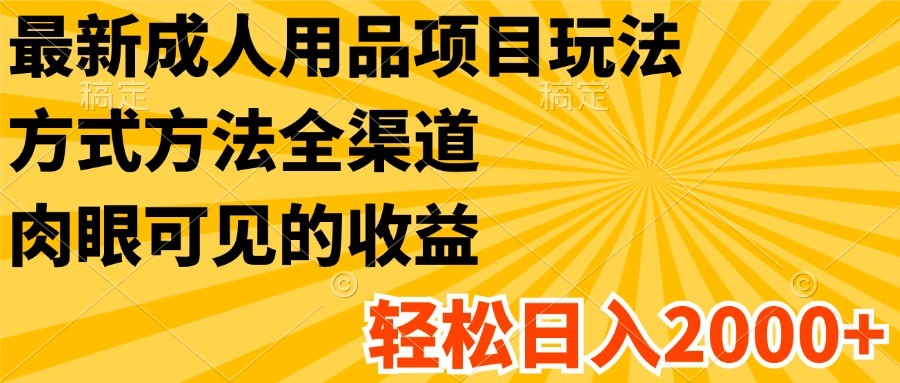 最新成人用品项目玩法，方式方法全渠道，肉眼可见的收益，轻松日入2000+-云创未来