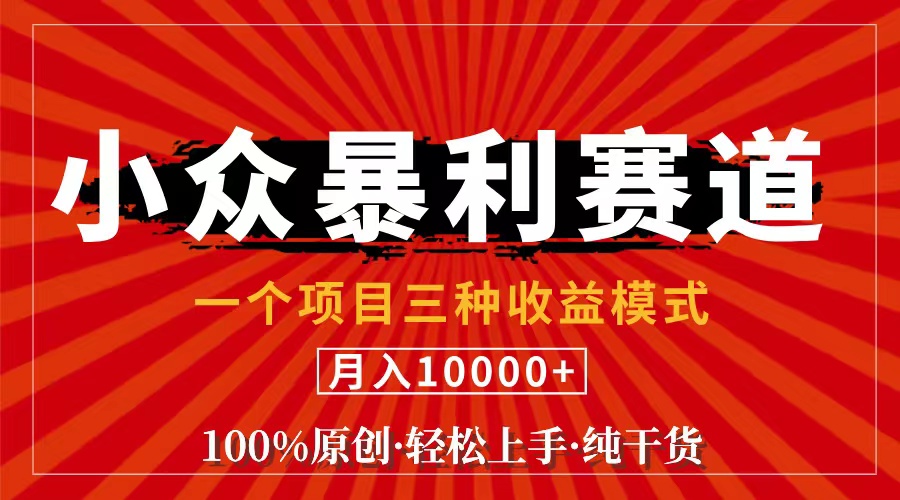 （11695期）视频号【中老年粉深信不疑】小众赛道 100%原创 手把手教学 新号3天收益…-云创未来