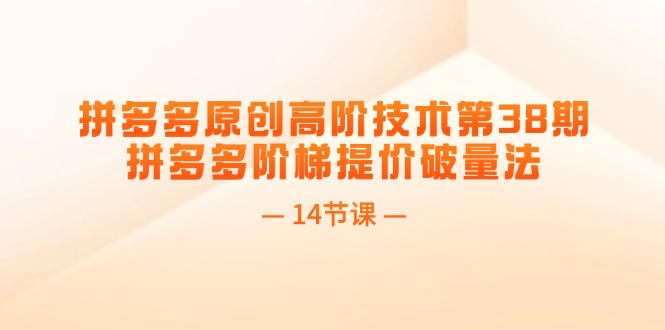 （11704期）拼多多原创高阶技术第38期，拼多多阶梯提价破量法（14节课）-云创未来