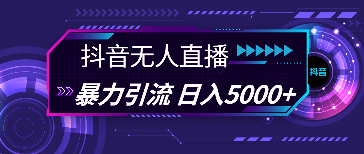 （11709期）抖音无人直播，暴利引流，日入5000+-云创未来