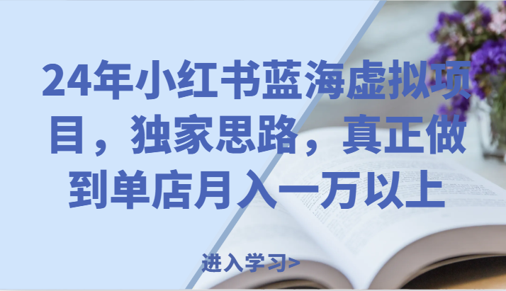 24年小红书蓝海虚拟项目，独家思路，真正做到单店月入一万以上。-云创未来