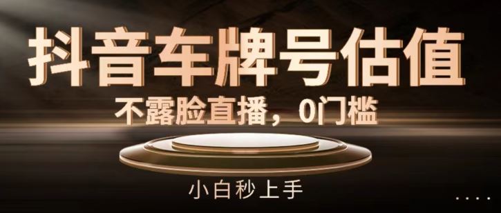 抖音车牌号估值，不露脸直播，0门槛，小白秒上手【揭秘】-云创未来
