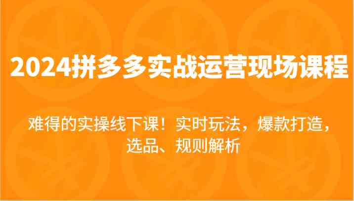2024拼多多实战运营现场课，实时玩法，爆款打造，选品、规则解析，难得的实操线下课！-云创未来