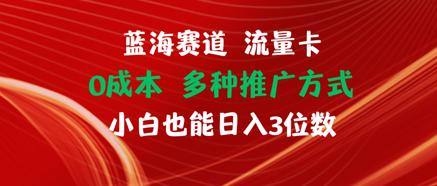 （11768期）蓝海赛道 流量卡 0成本 小白也能日入三位数-云创未来
