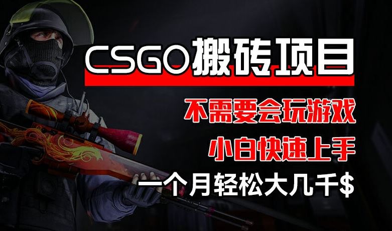 CSGO 装备搬砖项目，操作简单，不需要会玩游戏，小白也能快速上手，一个月轻松大几千【揭秘】-云创未来