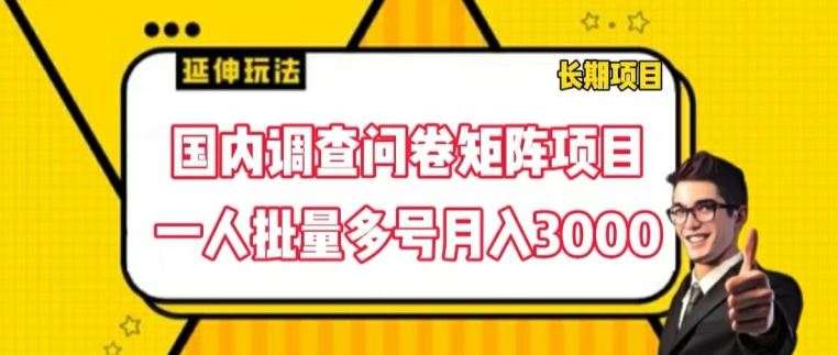 国内调查问卷矩阵项目，一人批量多号月入3000【揭秘】-云创未来