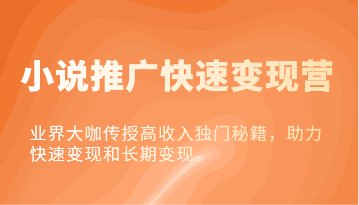 小说推广快速变现营-业界大咖传授高收入独门秘籍，助力快速变现和长期变现。-云创未来