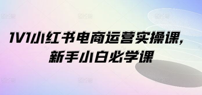 1V1小红书电商运营实操课，新手小白必学课-云创未来