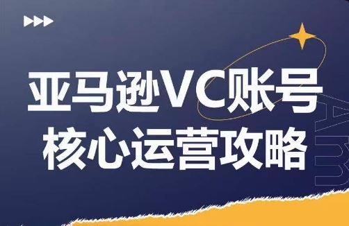 亚马逊VC账号核心玩法解析，实战经验拆解产品模块运营技巧，提升店铺GMV，有效提升运营利润-云创未来