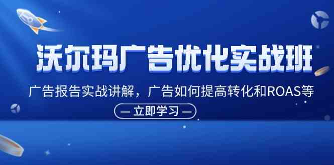 沃尔玛广告优化实战班，广告报告实战讲解，广告如何提高转化和ROAS等-云创未来