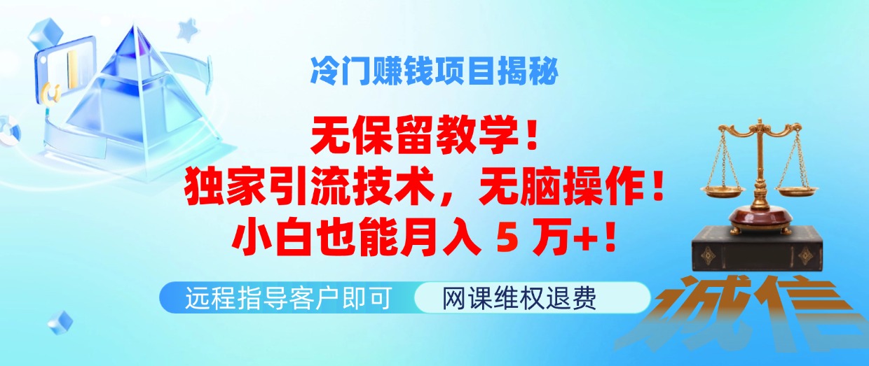 （11864期）冷门赚钱项目无保留教学！独家引流技术，无脑操作！小白也能月入5万+！-云创未来