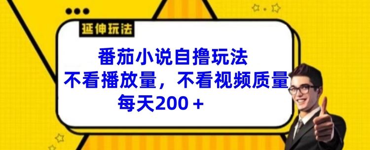 番茄小说自撸玩法，不看播放量，不看视频质量，每天200+【揭秘】-云创未来
