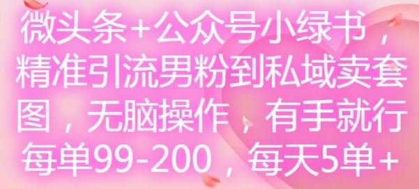 微头条+公众号小绿书，精准引流男粉到私域卖套图，无脑操作，有手就行，每单99-200，每天5单-云创未来