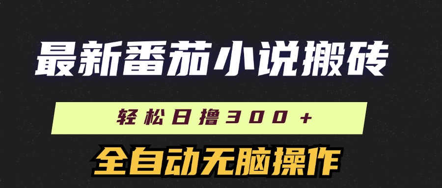 （11904期）最新番茄小说搬砖，日撸300＋！全自动操作，可矩阵放大-云创未来