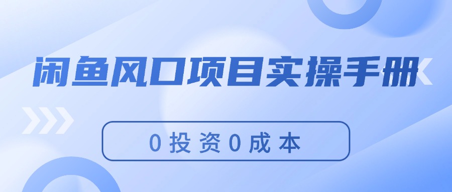 （11923期）闲鱼风口项目实操手册，0投资0成本，让你做到，月入过万，新手可做-云创未来