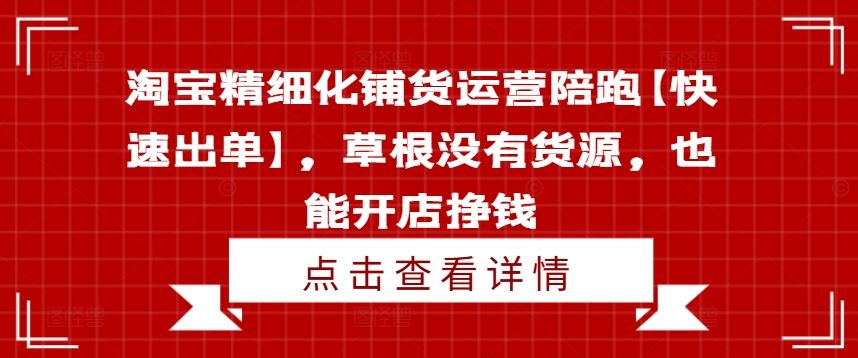 淘宝精细化铺货运营陪跑【快速出单】，草根没有货源，也能开店挣钱-云创未来