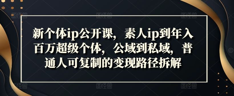 新个体ip公开课，素人ip到年入百万超级个体，公域到私域，普通人可复制的变现路径拆解-云创未来