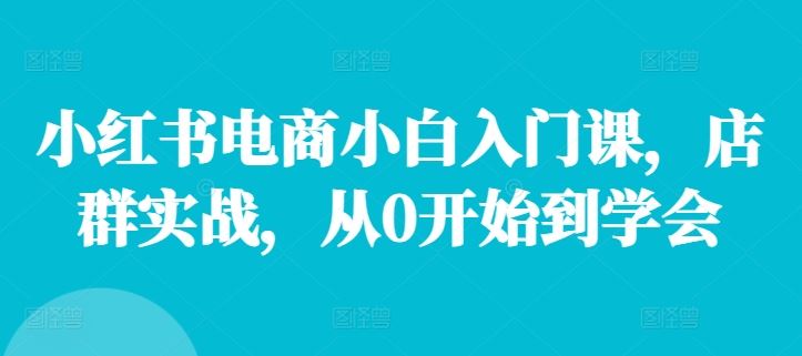 小红书电商小白入门课，店群实战，从0开始到学会-云创未来