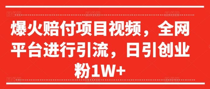 爆火赔付项目视频，全网平台进行引流，日引创业粉1W+【揭秘】-云创未来