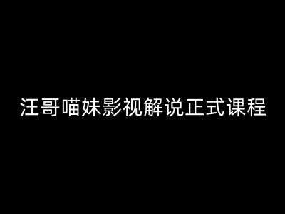 汪哥影视解说正式课程：剪映/PR教学/视解说剪辑5大黄金法则/全流程剪辑7把利器等等-云创未来