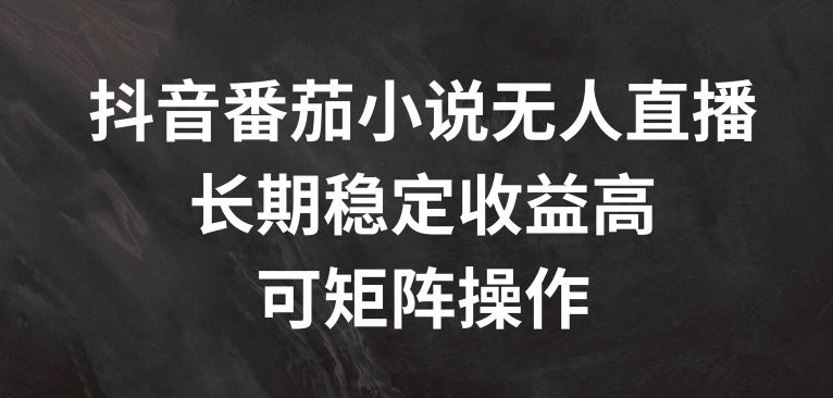 抖音番茄小说无人直播，长期稳定收益高，可矩阵操作【揭秘】-云创未来