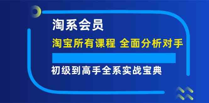 淘系会员初级到高手全系实战宝典【淘宝所有课程，全面分析对手】-云创未来