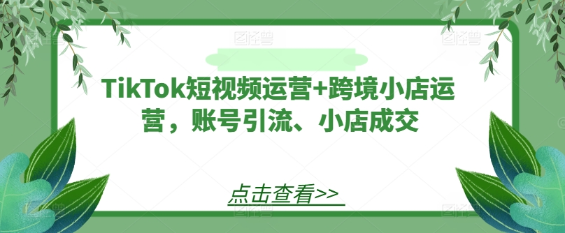 TikTok短视频运营+跨境小店运营，账号引流、小店成交-云创未来
