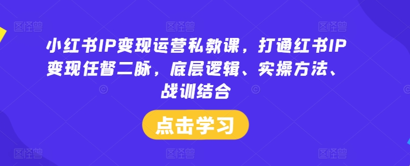 小红书IP变现运营私教课，打通红书IP变现任督二脉，底层逻辑、实操方法、战训结合-云创未来