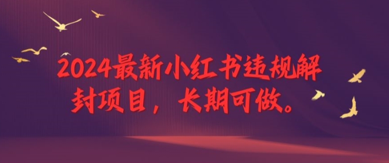 2024最新小红书违规解封项目，长期可做，一个可以做到退休的项目-云创未来