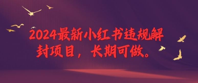2024最新小红书违规解封项目，长期可做，一个可以做到退休的项目【揭秘】-云创未来