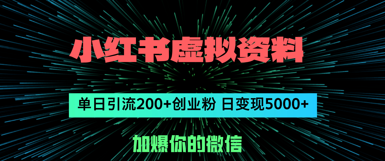 （12164期）小红书虚拟资料日引流200+创业粉，单日变现5000+-云创未来