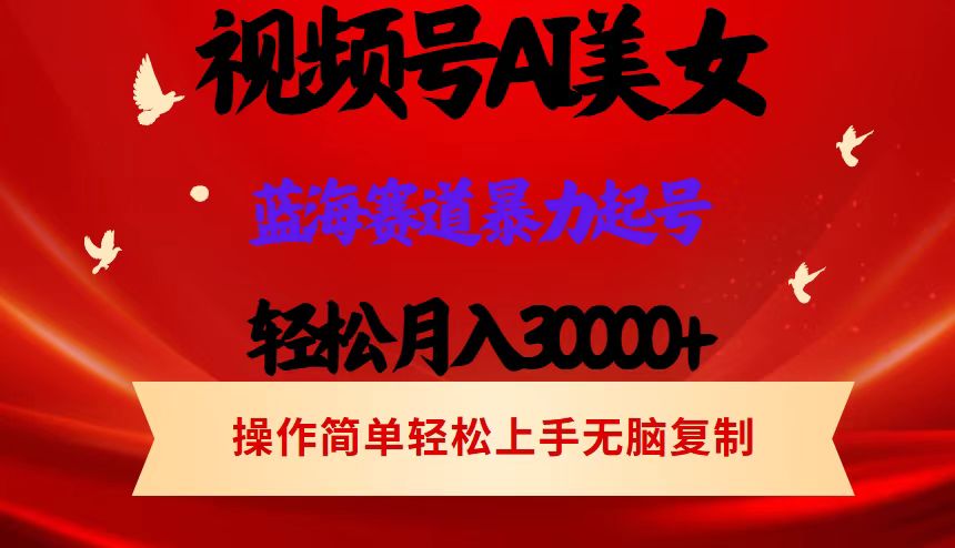 （12178期）视频号AI美女跳舞，轻松月入30000+，蓝海赛道，流量池巨大，起号猛，当…-云创未来