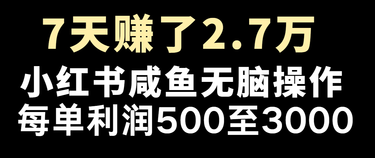 七天赚了2.7万！每单利润最少500+，轻松月入5万+小白有手就行-云创未来