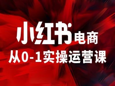 小红书电商从0-1实操运营课，让你从小白到精英-云创未来