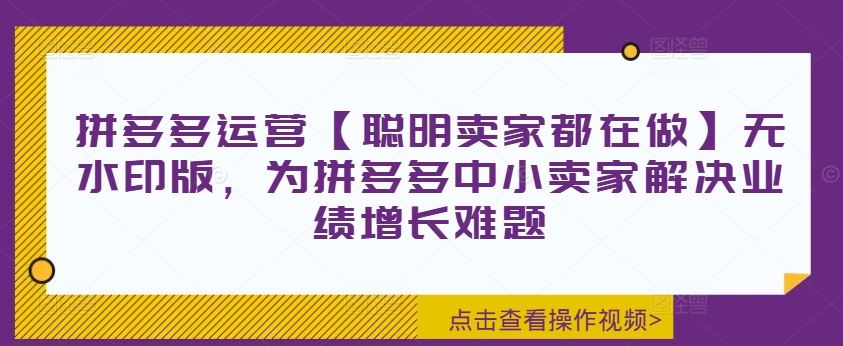 拼多多运营【聪明卖家都在做】无水印版，为拼多多中小卖家解决业绩增长难题-云创未来