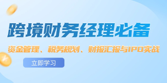 （12323期）跨境 财务经理必备：资金管理、税务规划、财报汇报与IPO实战-云创未来