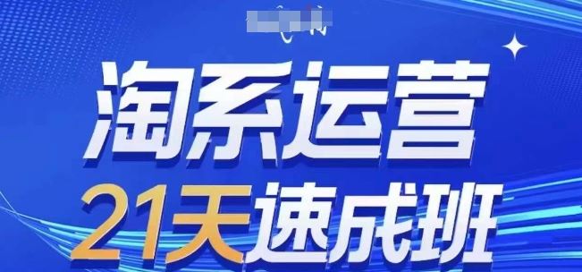 淘系运营21天速成班(更新24年8月)，0基础轻松搞定淘系运营，不做假把式-云创未来