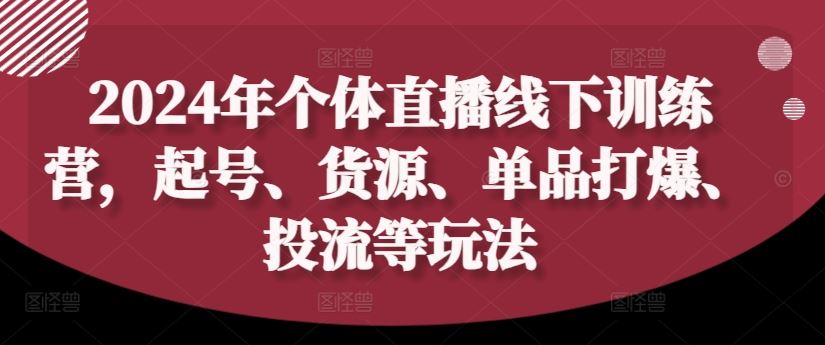 2024年个体直播训练营，起号、货源、单品打爆、投流等玩法-云创未来
