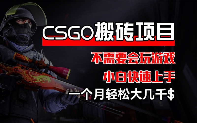 （12332期）CSGO 装备搬砖项目，操作简单，不需要会玩游戏，小白也能快速上手，一…-云创未来